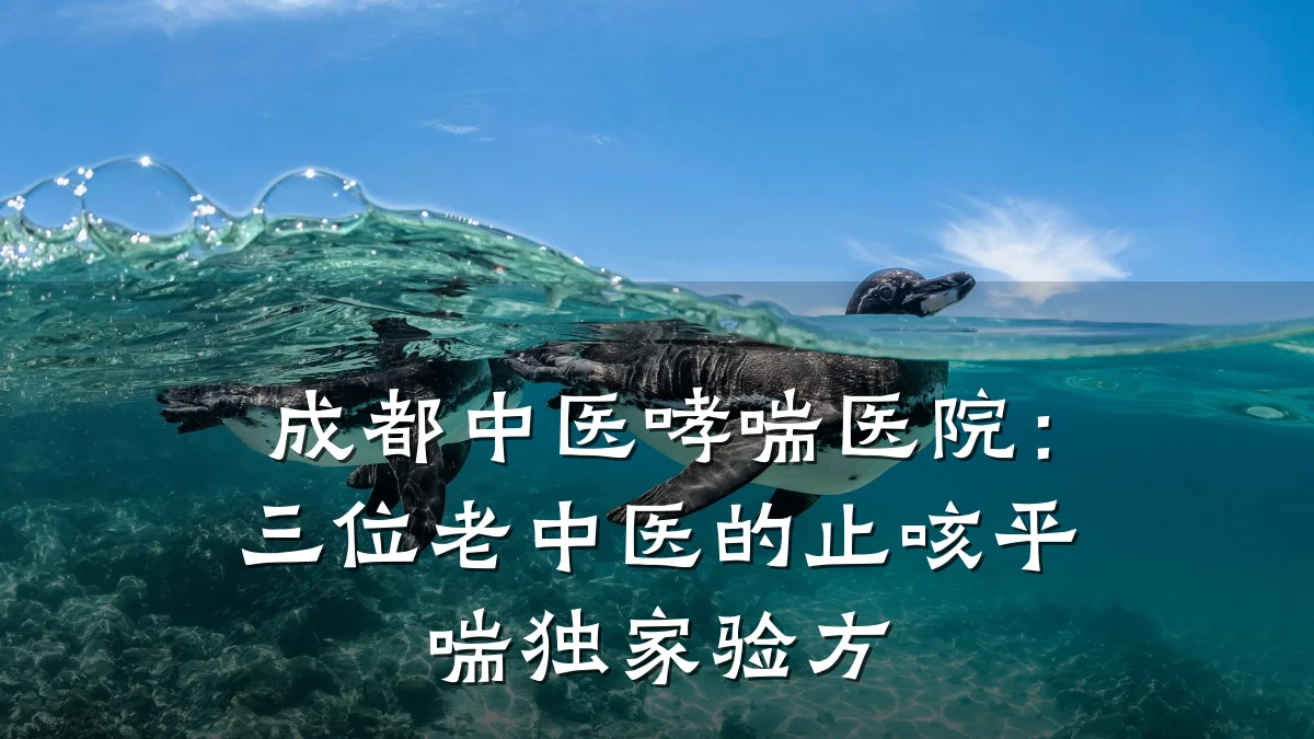 成都中医哮喘医院:三位老中医的止咳平喘独家验方