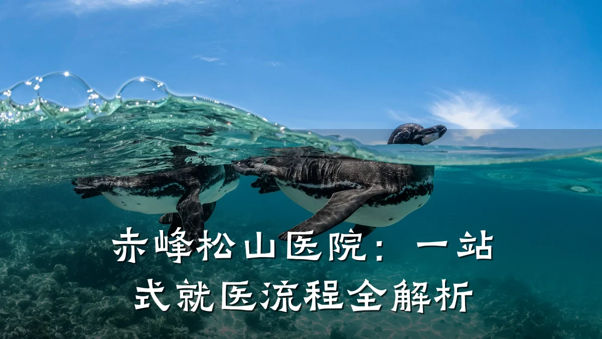 赤峰松山医院:一站式就医流程全解析