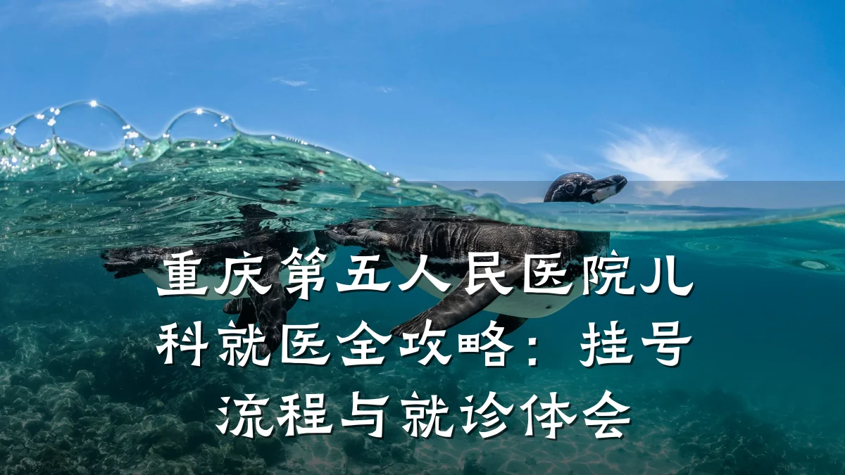 重庆第五人民医院儿科就医全攻略:挂号流程与就诊体会