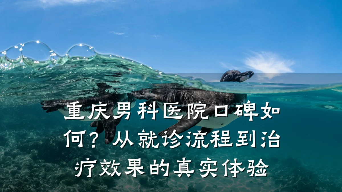 重庆男科医院口碑如何?从就诊流程到治疗效果的真实体验