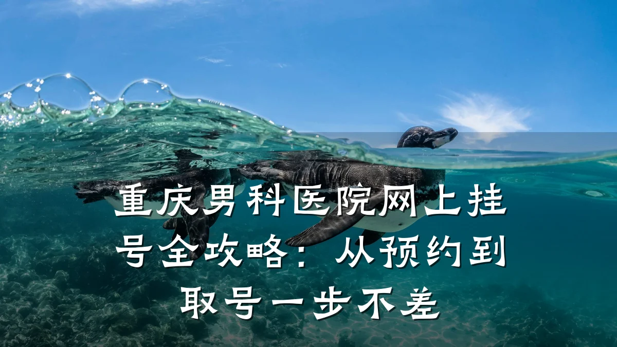 重庆男科医院网上挂号全攻略:从预约到取号一步不差