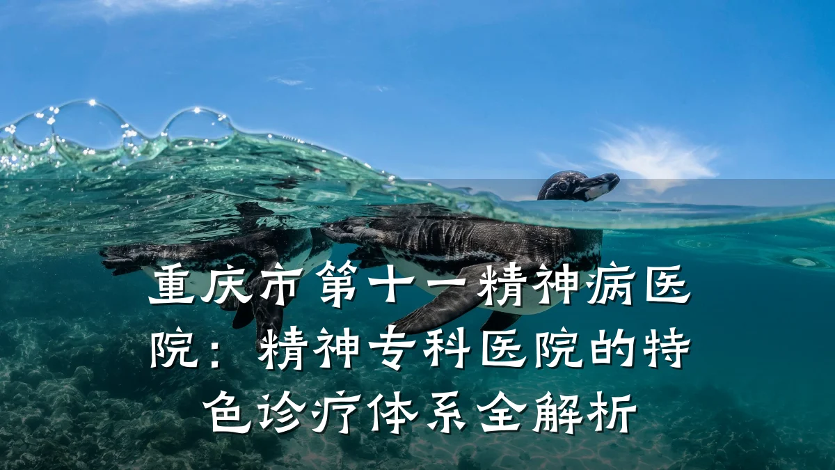 重庆市第十一精神病医院:精神专科医院的特色诊疗体系全解析