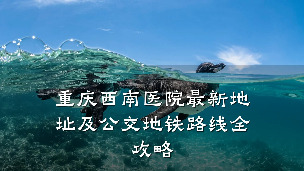 重庆西南医院最新地址及公交地铁路线全攻略