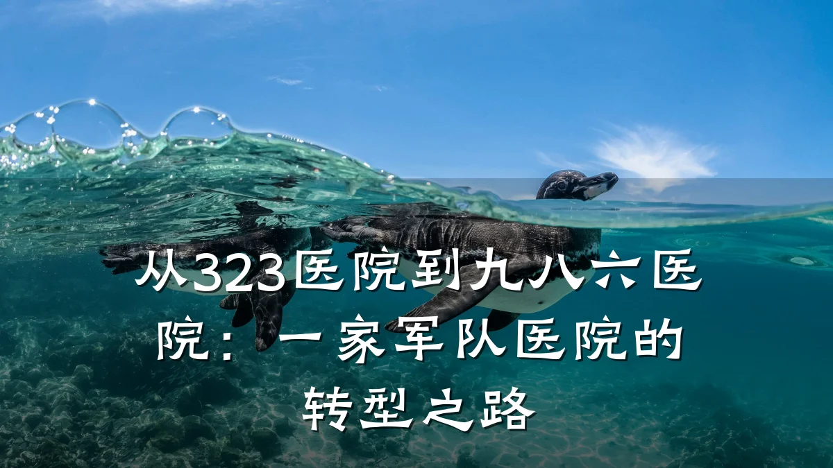 从323医院到九八六医院:一家军队医院的转型之路