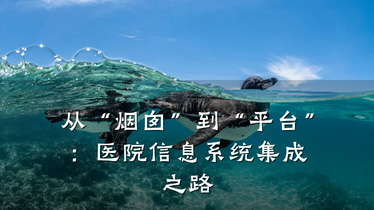 从“烟囱”到“平台”：医院信息系统集成之路