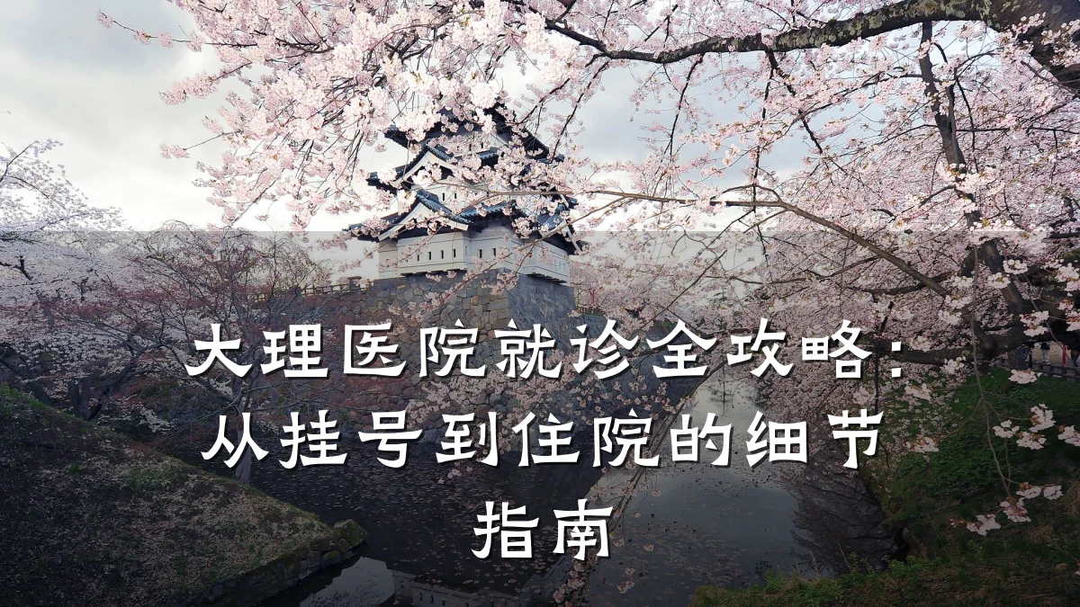 大理医院就诊全攻略：从挂号到住院的细节指南
