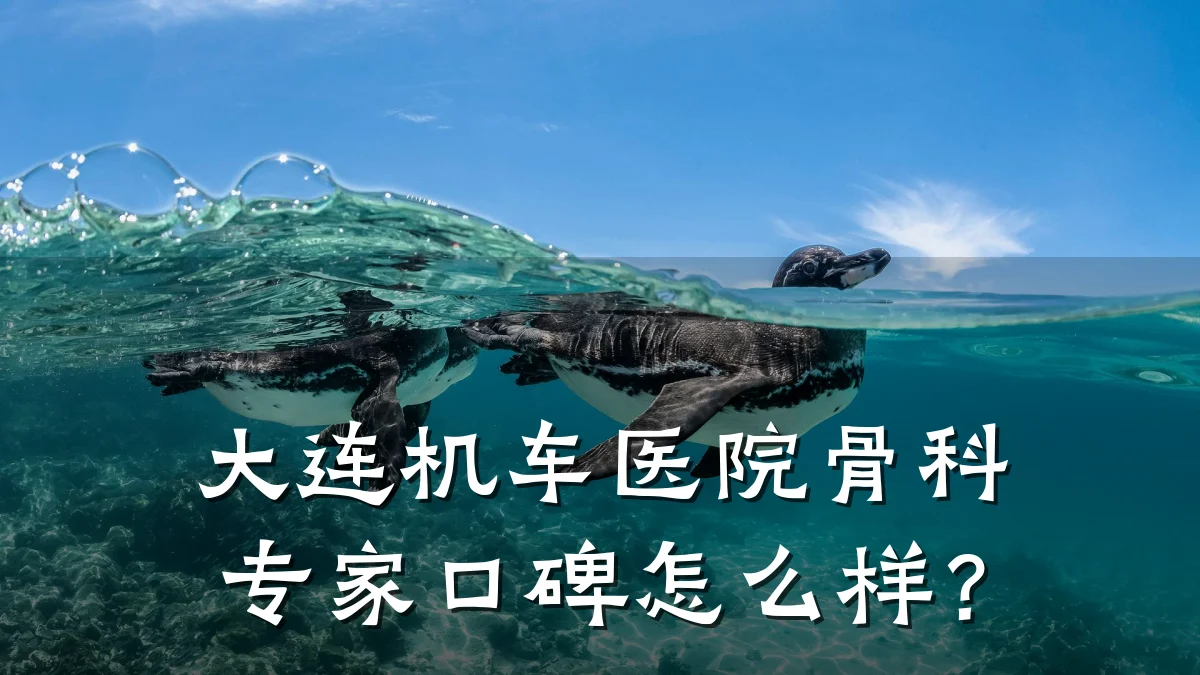大连机车医院骨科专家口碑怎么样?
