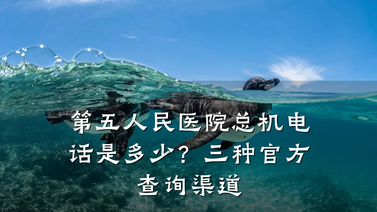 第五人民医院总机电话是多少?三种官方查询渠道