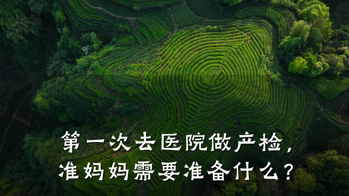 第一次去医院做产检，准妈妈需要准备什么？