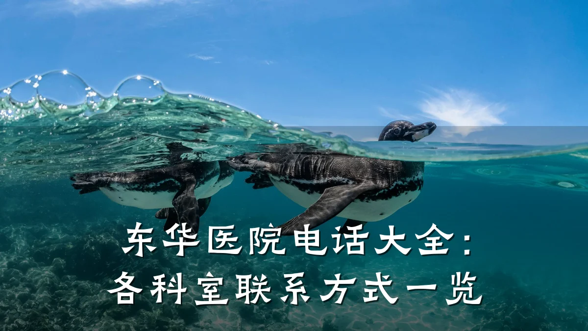 东华医院电话大全:各科室联系方式一览