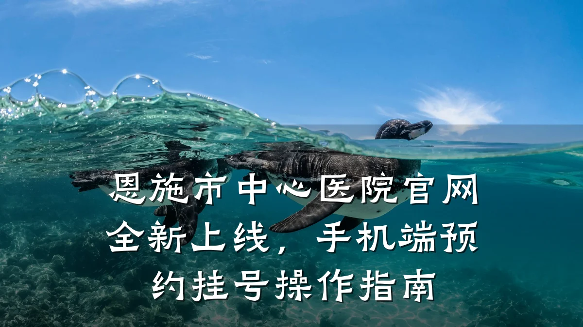 恩施市中心医院官网全新上线,手机端预约挂号操作指南