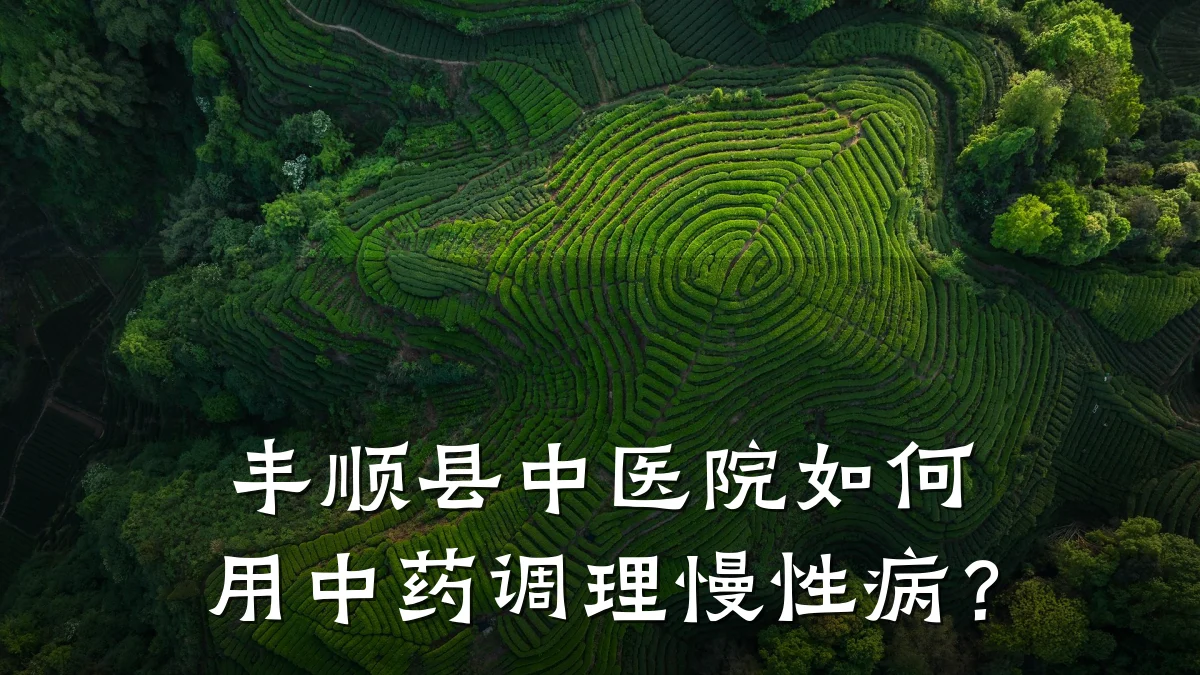 丰顺县中医院如何用中药调理慢性病?