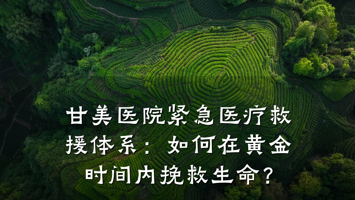 甘美医院紧急医疗救援体系:如何在黄金时间内挽救生命?