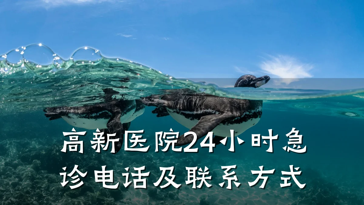 高新医院24小时急诊电话及联系方式