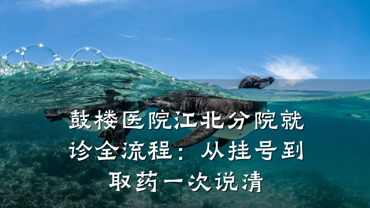 鼓楼医院江北分院就诊全流程:从挂号到取药一次说清