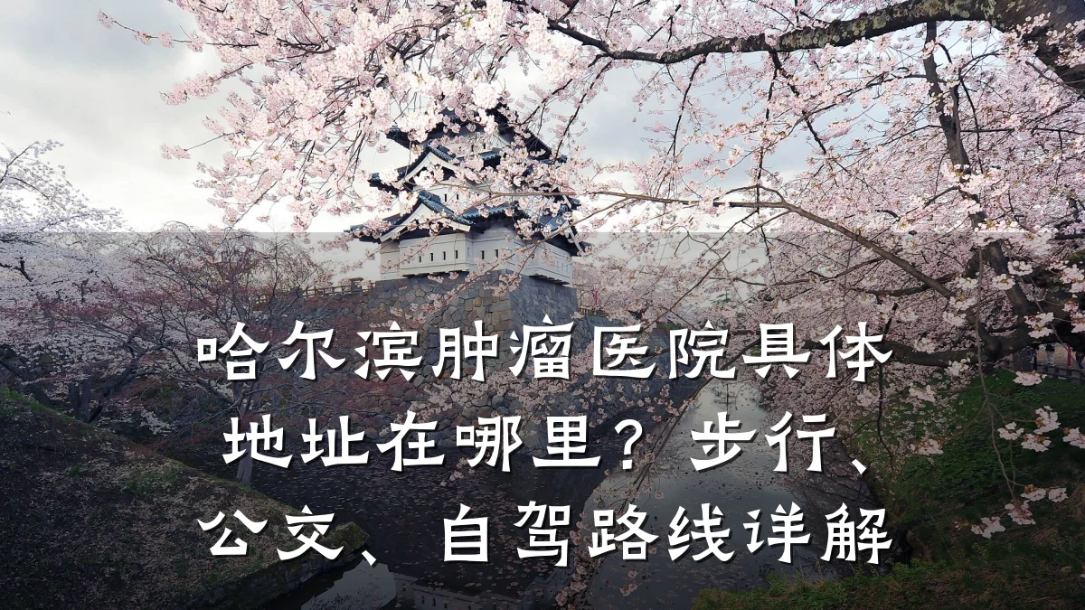 哈尔滨肿瘤医院具体地址在哪里?步行、公交、自驾路线详解