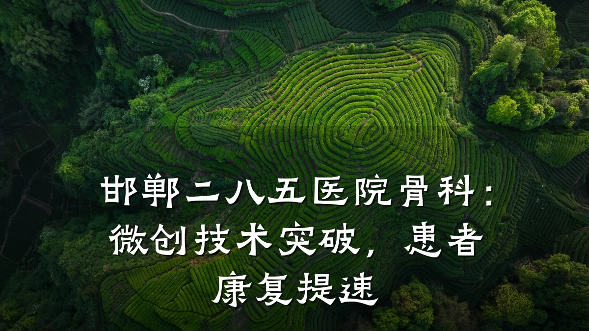 邯郸二八五医院骨科:微创技术突破,患者康复提速