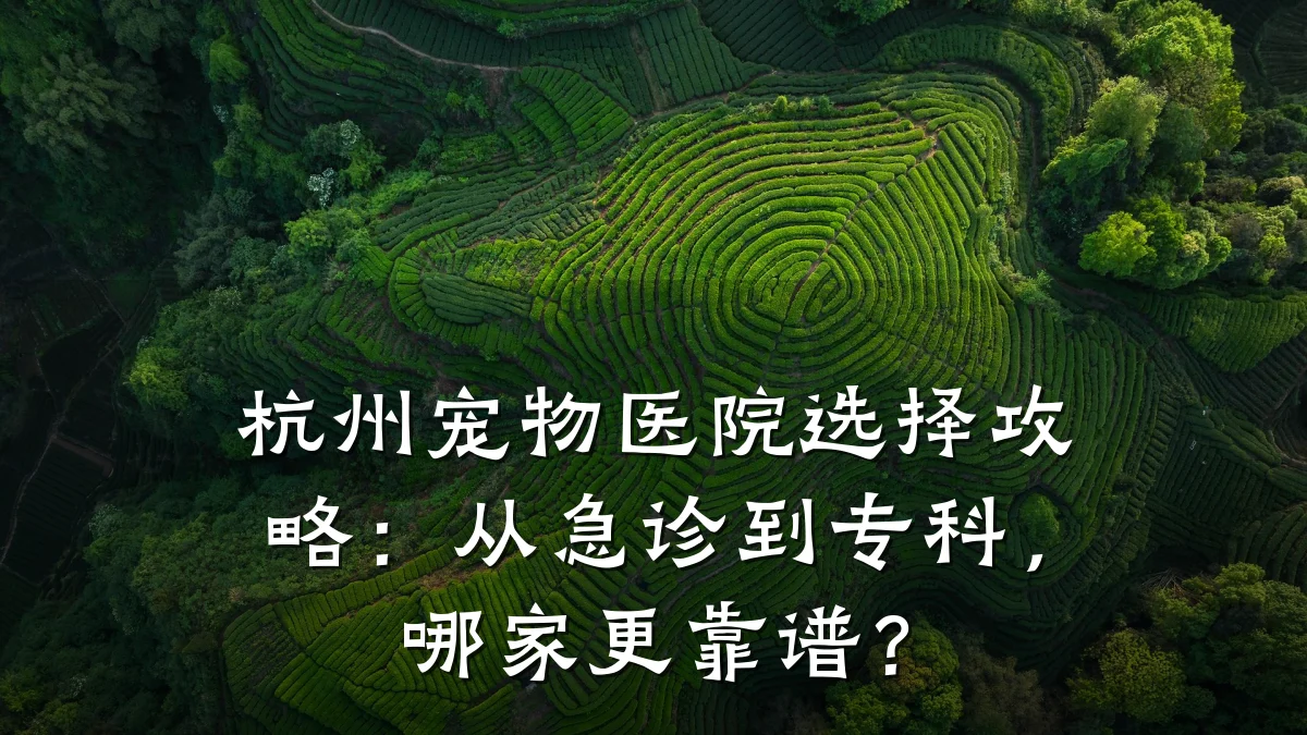 杭州宠物医院选择攻略:从急诊到专科,哪家更靠谱?