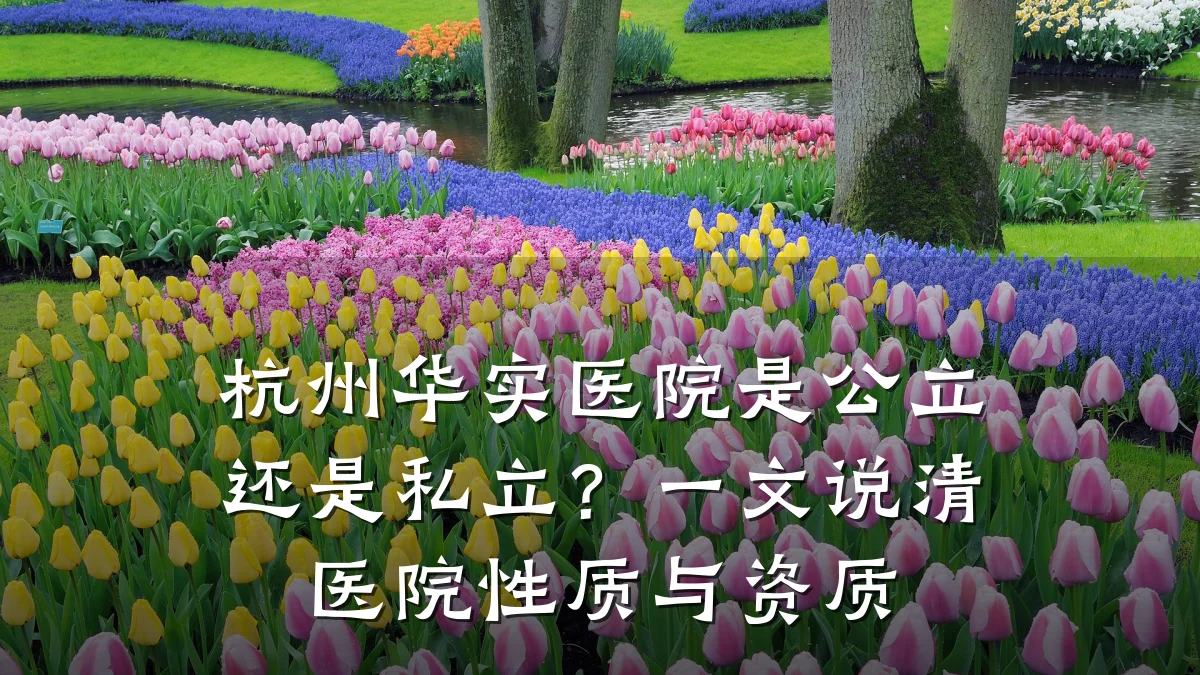 杭州华实医院是公立还是私立?一文说清医院性质与资质