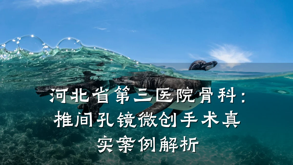 河北省第三医院骨科：椎间孔镜微创手术真实案例解析