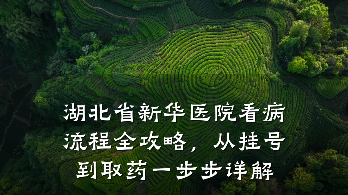 湖北省新华医院看病流程全攻略，从挂号到取药一步步详解