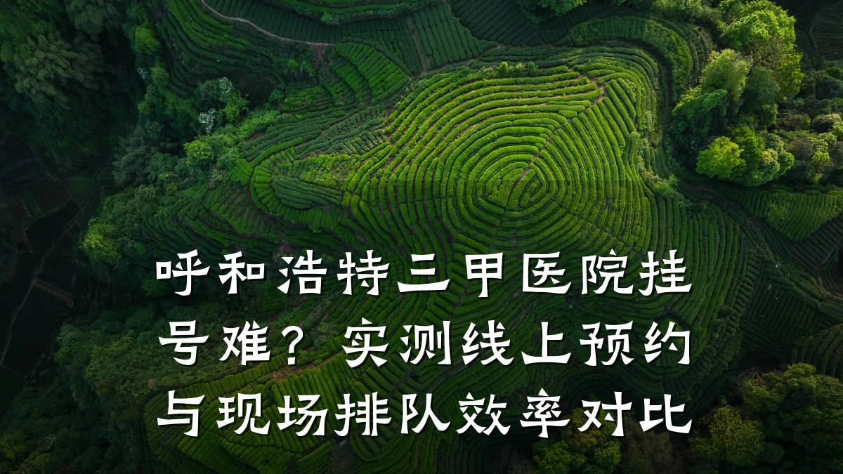 呼和浩特三甲医院挂号难?实测线上预约与现场排队效率对比
