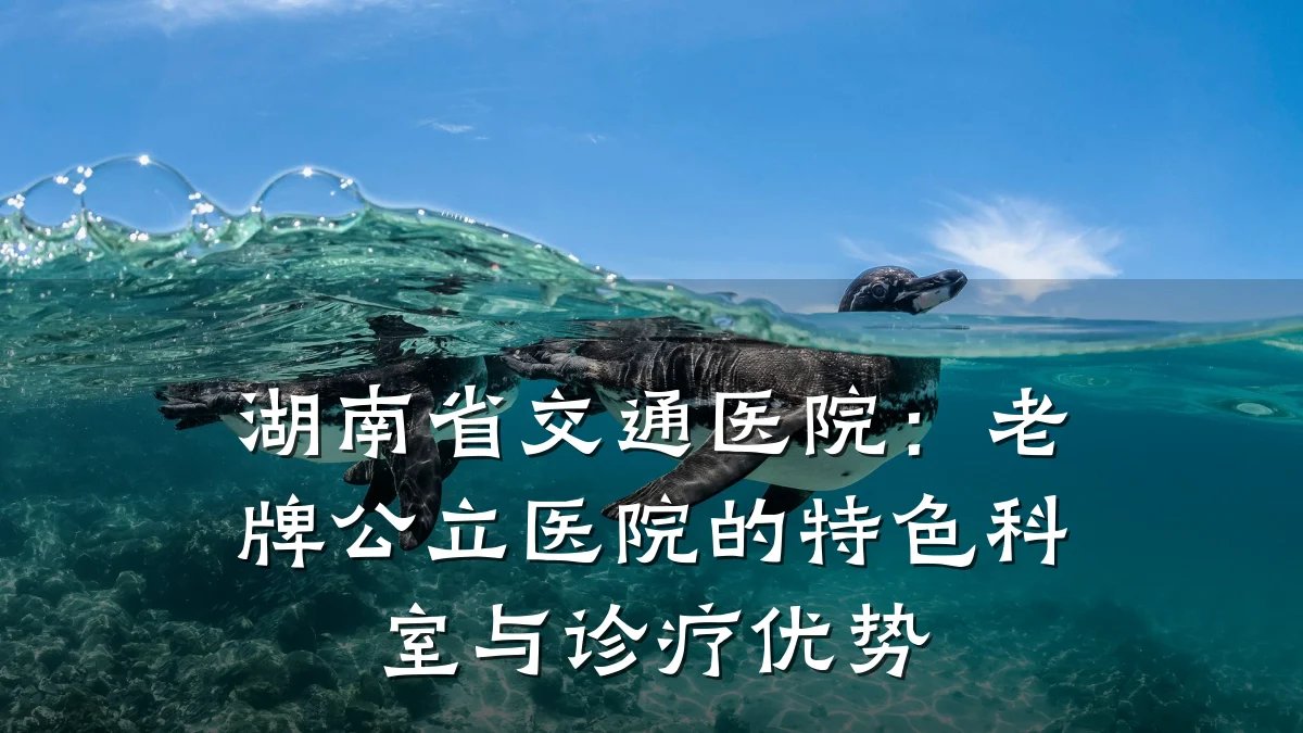 湖南省交通医院:老牌公立医院的特色科室与诊疗优势