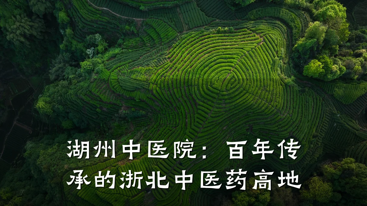 湖州中医院:百年传承的浙北中医药高地