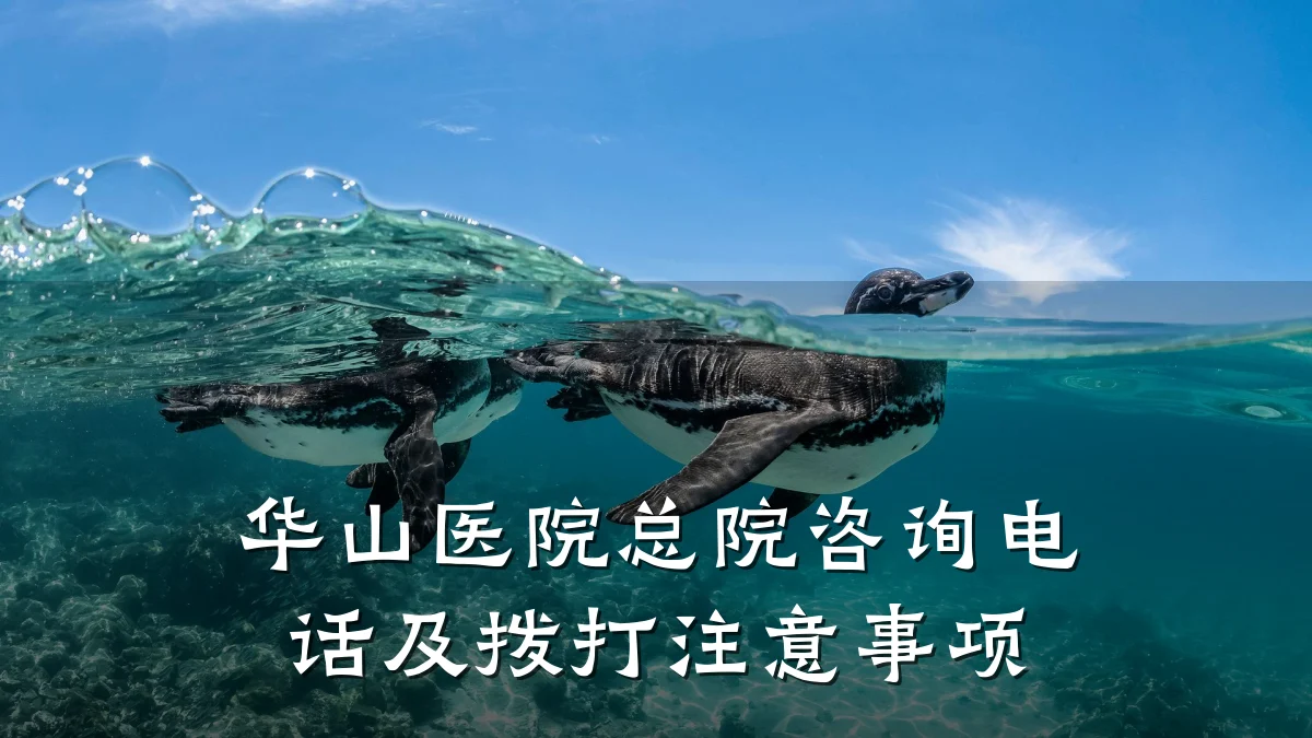 华山医院总院咨询电话及拨打注意事项