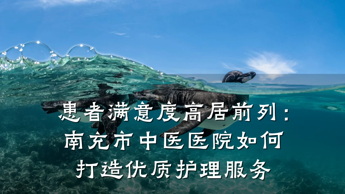 患者满意度高居前列:南充市中医医院如何打造优质护理服务