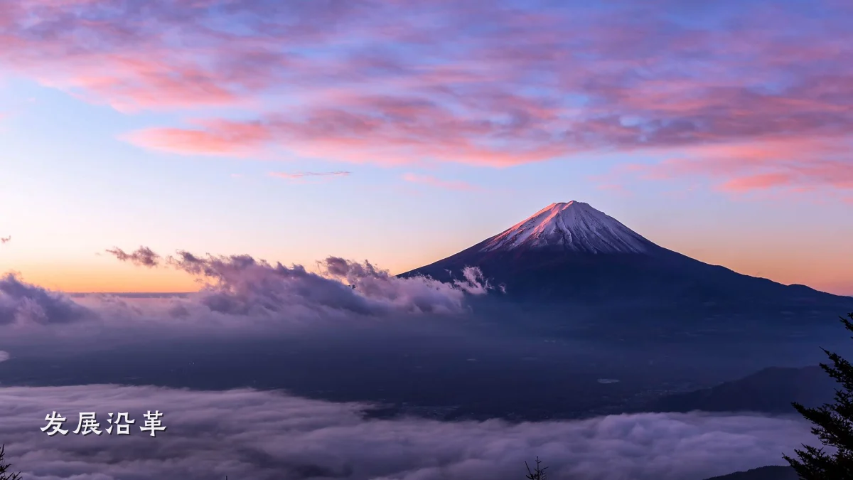发展沿革