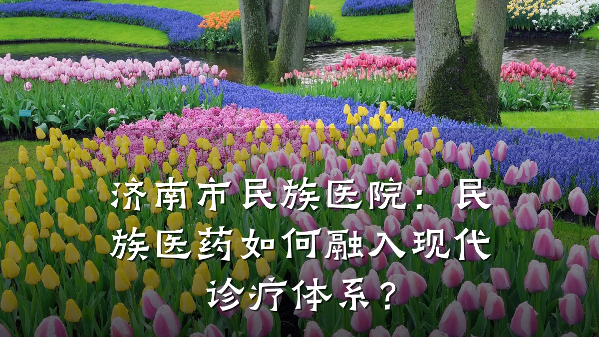 济南市民族医院:民族医药如何融入现代诊疗体系?