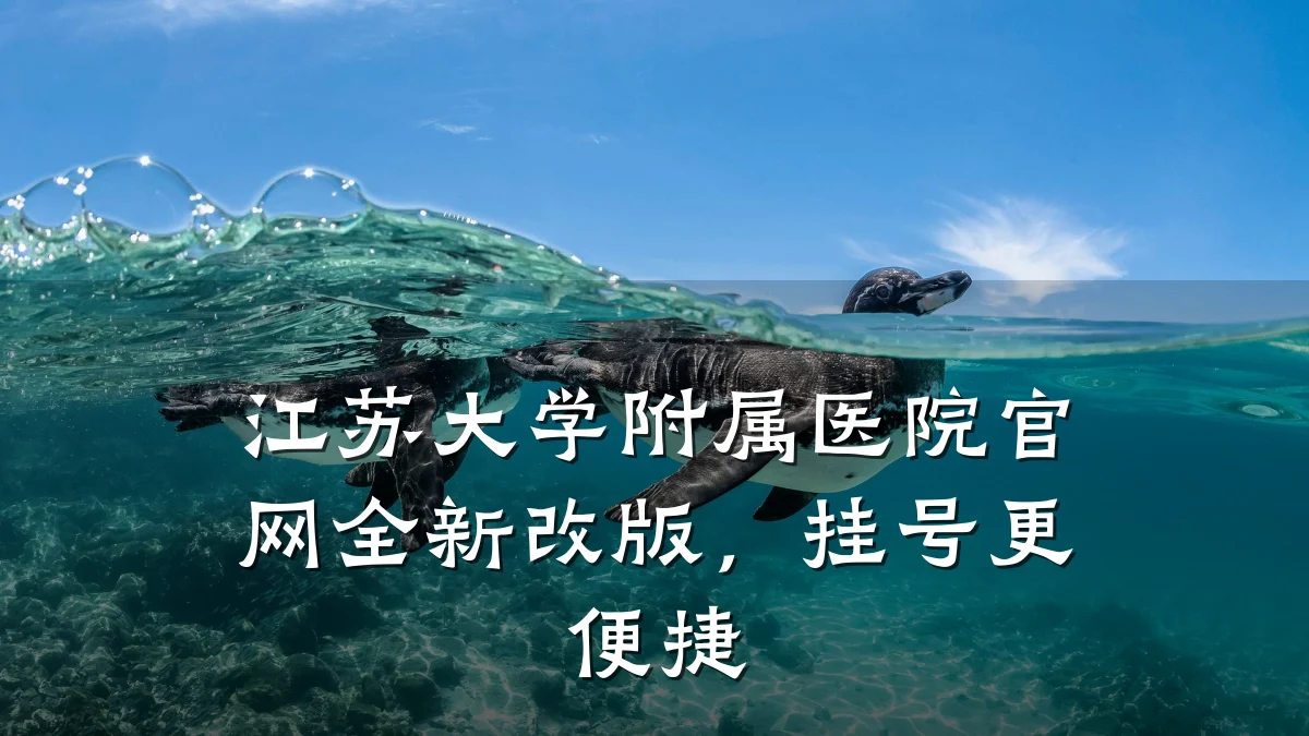 江苏大学附属医院官网全新改版，挂号更便捷