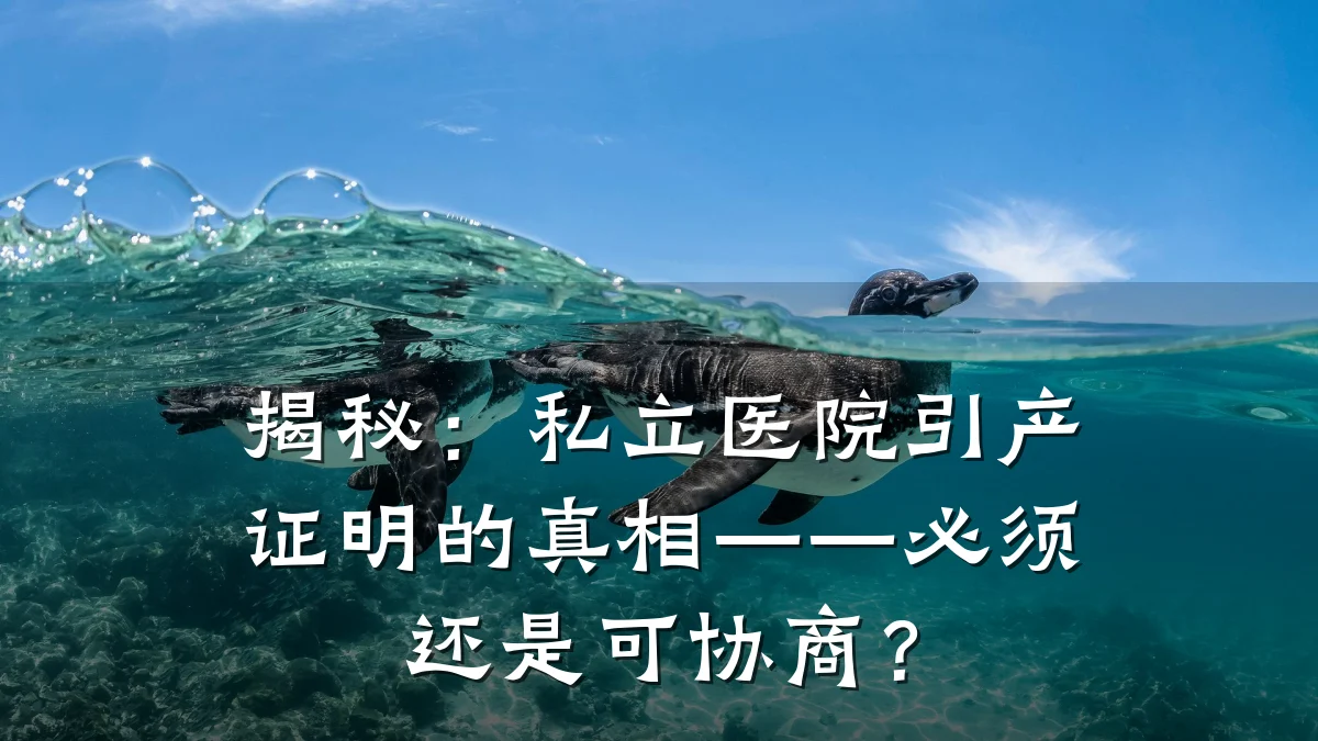 揭秘:私立医院引产证明的真相——必须还是可协商?