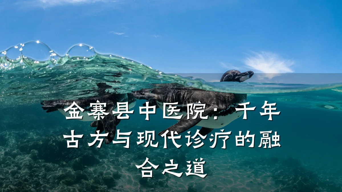 金寨县中医院:千年古方与现代诊疗的融合之道