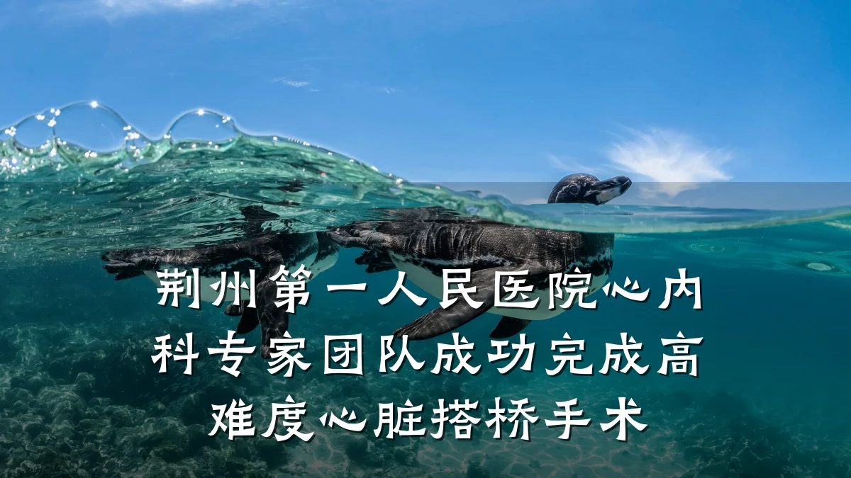 荆州第一人民医院心内科专家团队成功完成高难度心脏搭桥手术