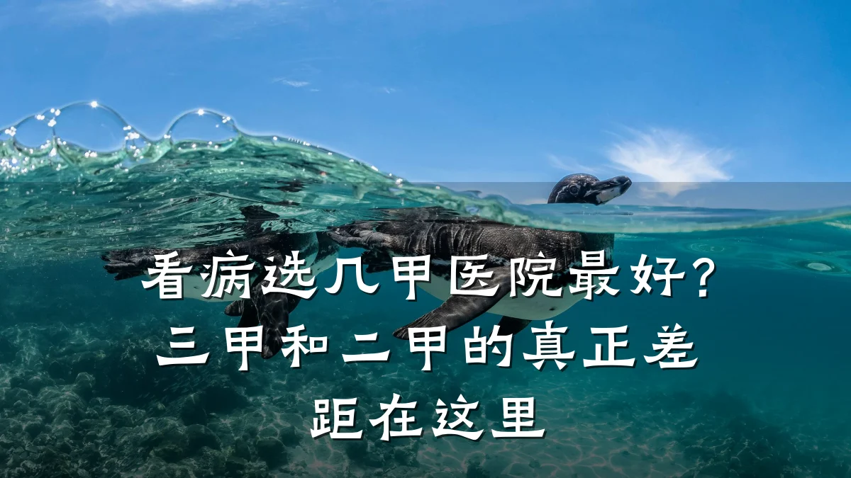 看病选几甲医院最好?三甲和二甲的真正差距在这里