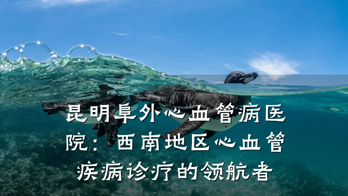 昆明阜外心血管病医院:西南地区心血管疾病诊疗的领航者