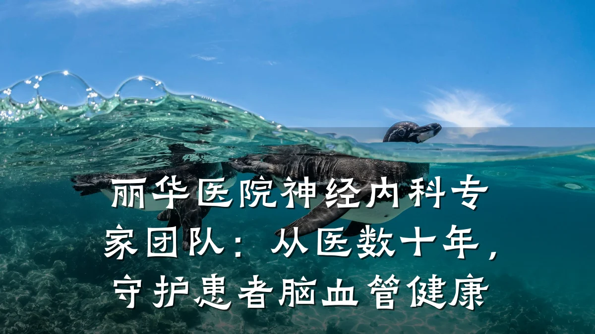 丽华医院神经内科专家团队：从医数十年，守护患者脑血管健康