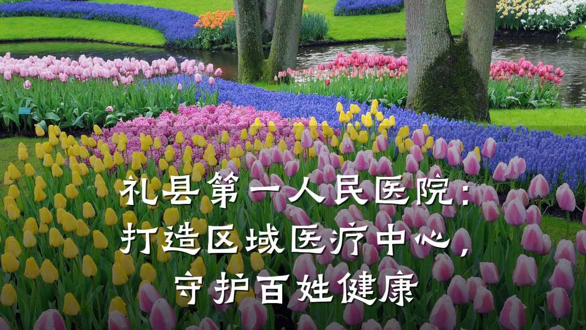 礼县第一人民医院：打造区域医疗中心，守护百姓健康