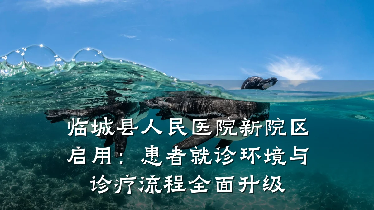 临城县人民医院新院区启用:患者就诊环境与诊疗流程全面升级