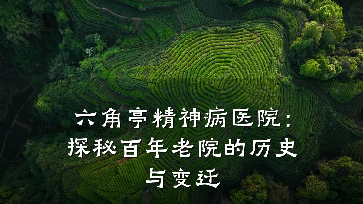 六角亭精神病医院：探秘百年老院的历史与变迁