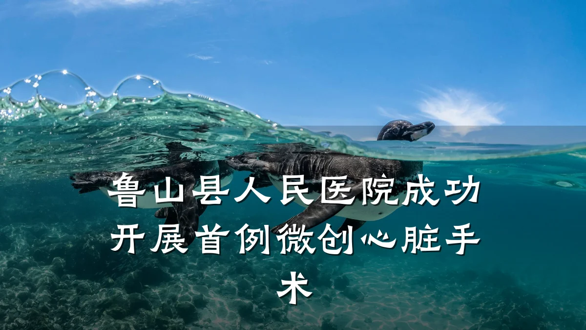 鲁山县人民医院成功开展首例微创心脏手术