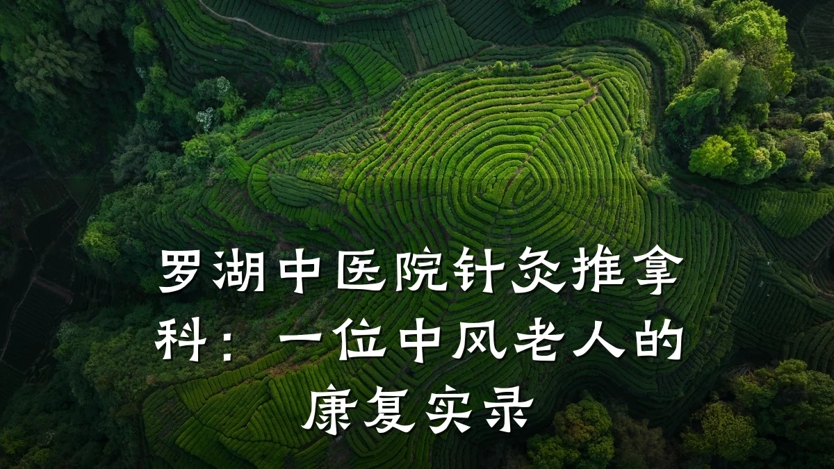 罗湖中医院针灸推拿科:一位中风老人的康复实录