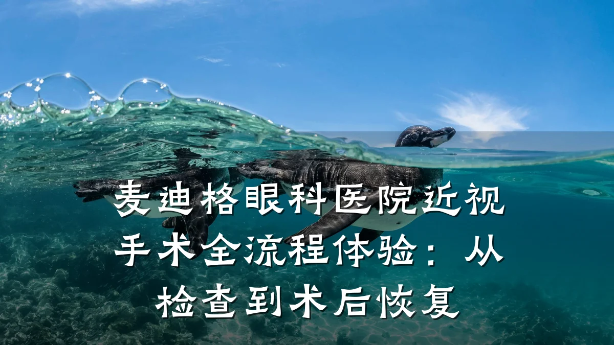 麦迪格眼科医院近视手术全流程体验:从检查到术后恢复