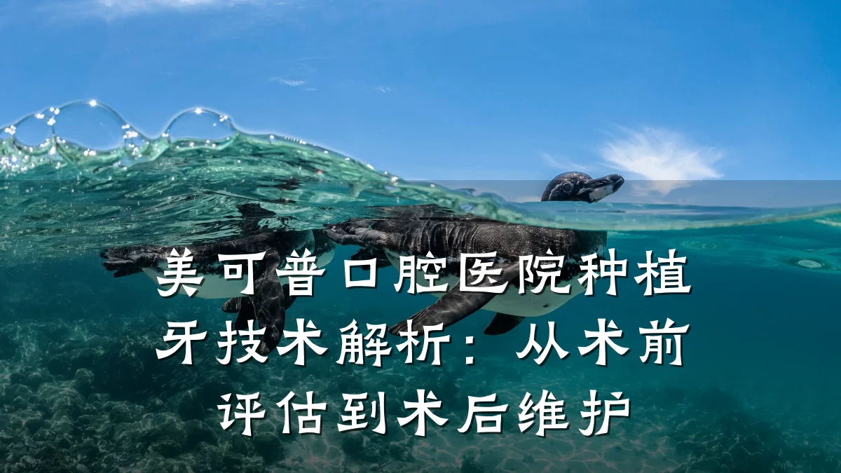 美可普口腔医院种植牙技术解析：从术前评估到术后维护