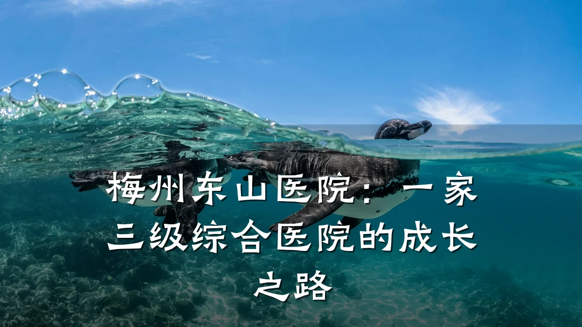 梅州东山医院:一家三级综合医院的成长之路