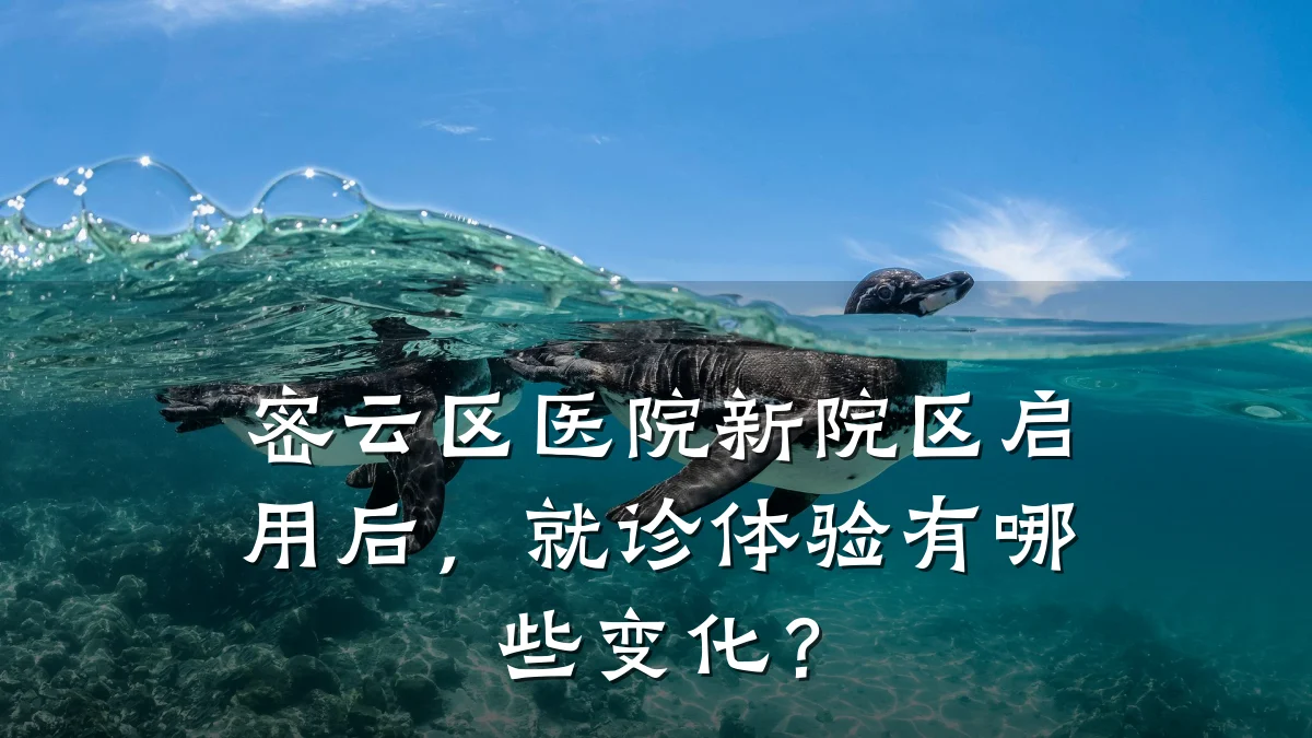 密云区医院新院区启用后，就诊体验有哪些变化？