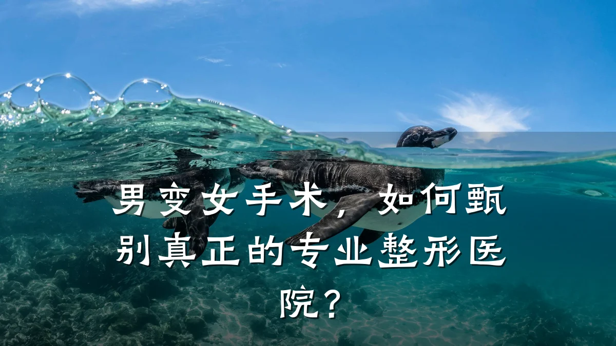 男变女手术,如何甄别真正的专业整形医院?