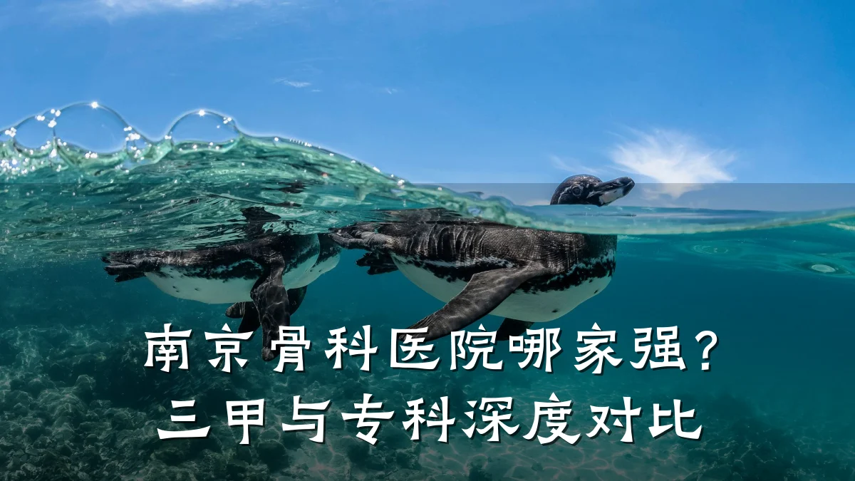 南京骨科医院哪家强?三甲与专科深度对比